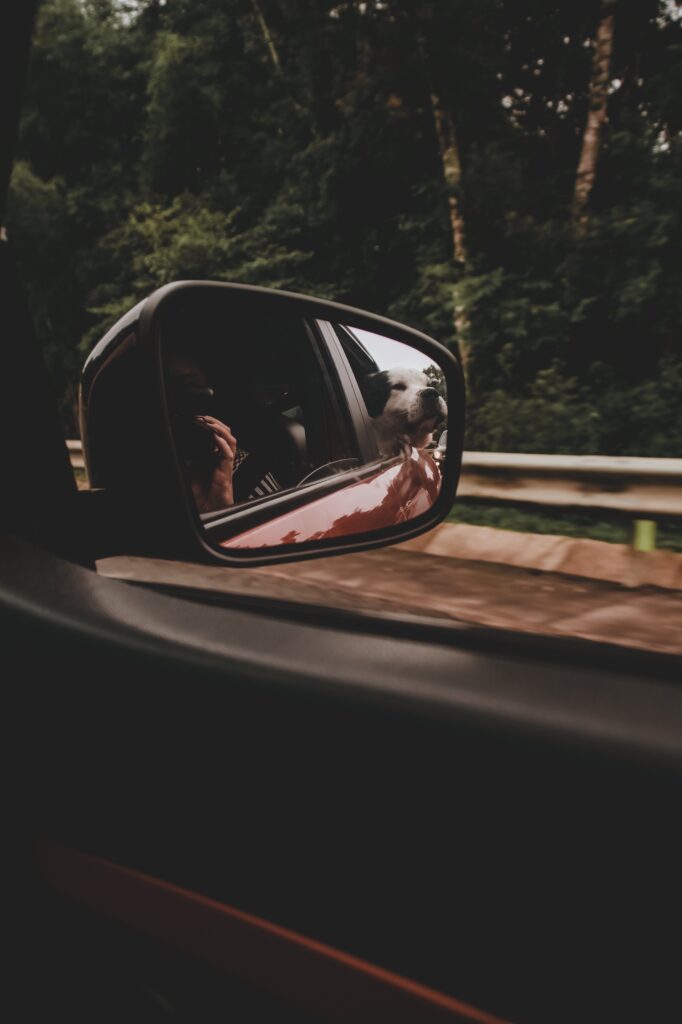 IMG 8540 VSCO 682x1024